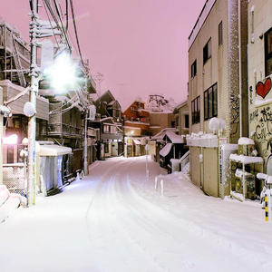 蜜臀AV在线播放
